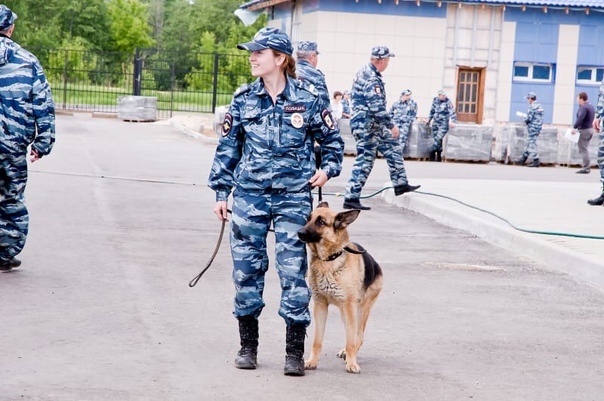 Кинолог в полиции это: Федеральная служба войск национальнойгвардии