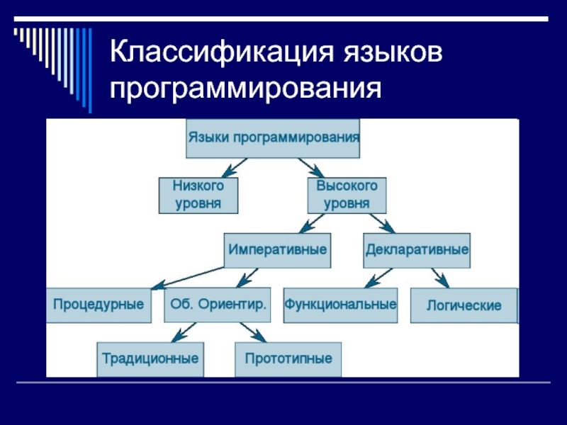 Программа для специальности программирование в компьютерной системы