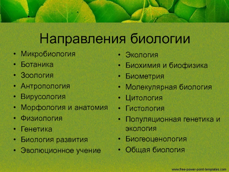 Готовые индивидуальные проекты 10 класс по биологии