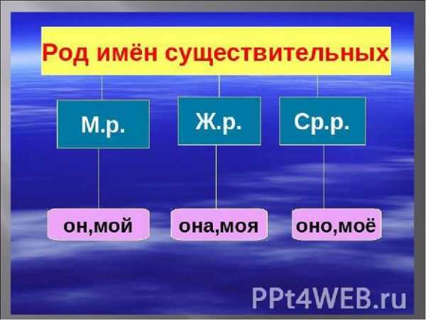 Вуз это какой род существительного